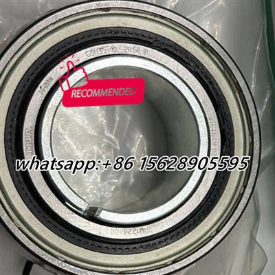 GSH 35- xl -2 RSR-B INA